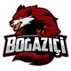 Team Bogazici