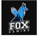 Fox Gaming Youth