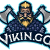 ViKin.gg
