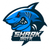 Shark Boys