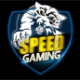 Speed Gaming.cn